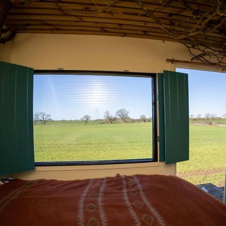 'Pipistrelle' Remote Off-Grid Micro Cabin Villa Sedgefield Exterior foto