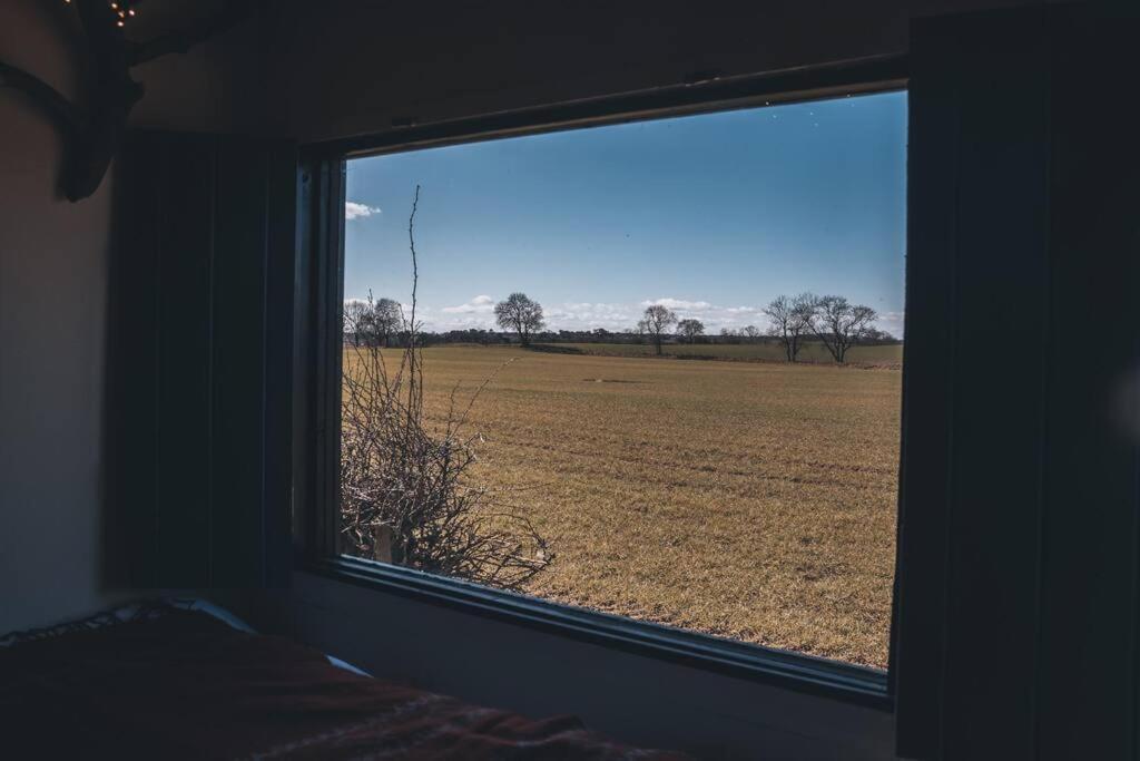 'Pipistrelle' Remote Off-Grid Micro Cabin Villa Sedgefield Exterior foto