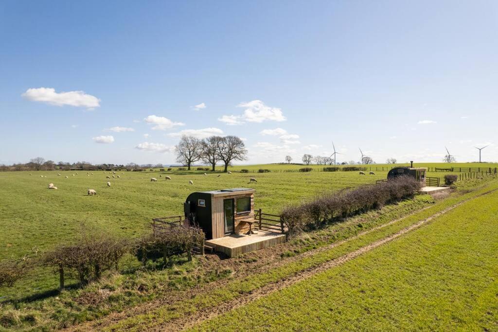 'Pipistrelle' Remote Off-Grid Micro Cabin Villa Sedgefield Exterior foto